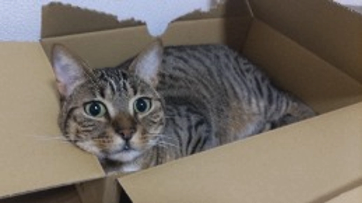 ついに…達成率50%超えました！😭