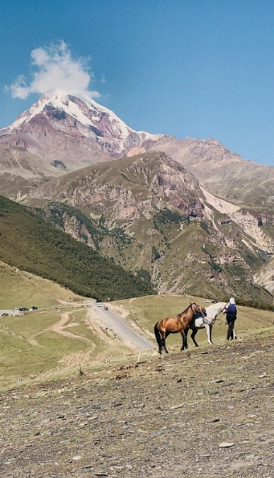【クラファン残り39日】クラファン中なのに、もう一つクラファン準備中？！