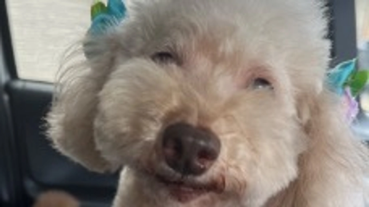 7/6のありがとうございます！