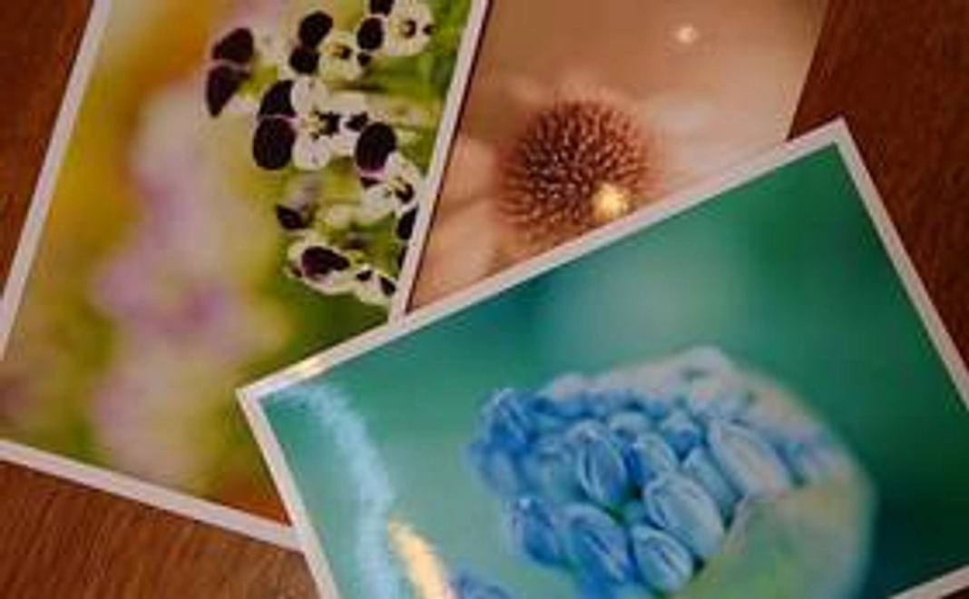 花のフォトサンクスカード