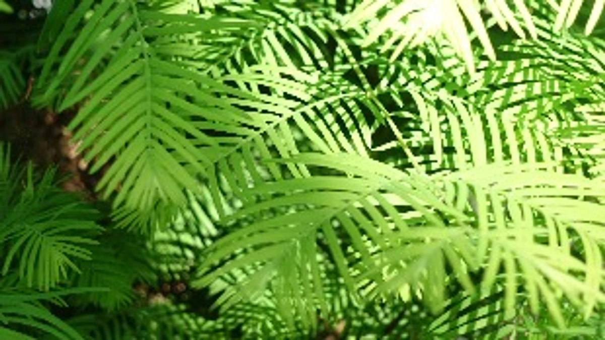 2024.05.06 プロジェクト公開後の進行状況について