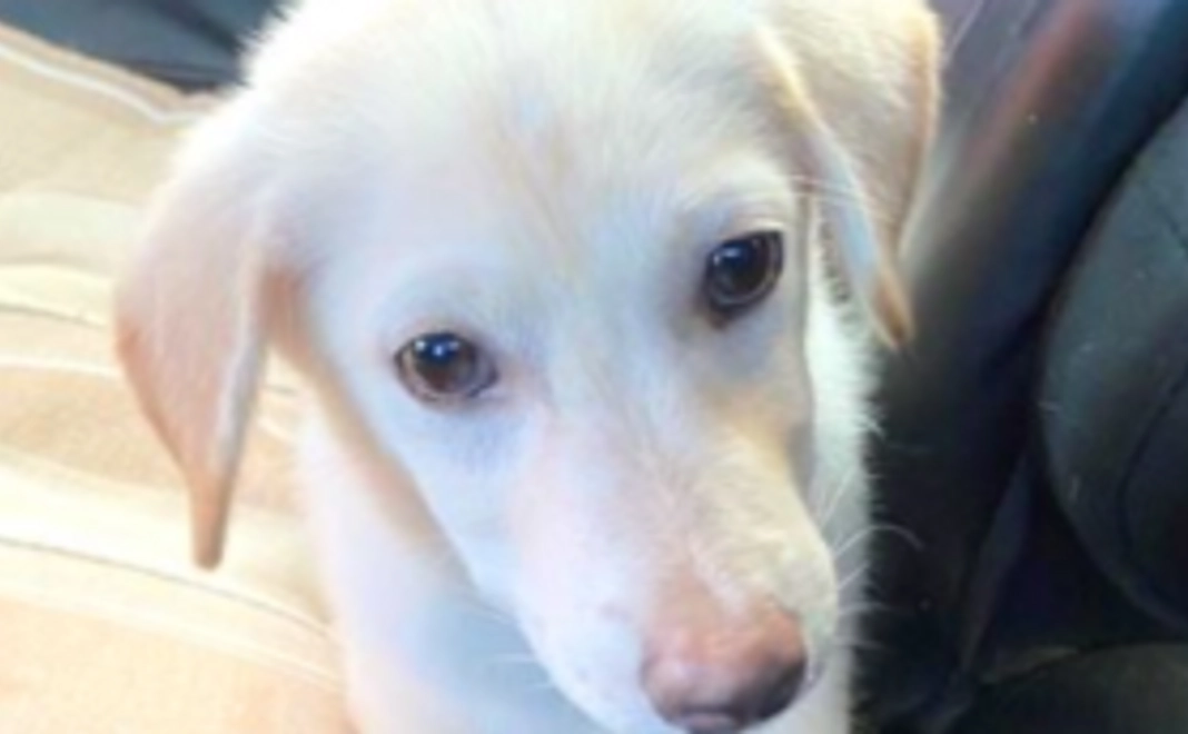 プロジェクト応援コース！