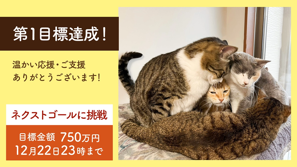 第1目標達成御礼！第2目標750万円を目指します！~About our 2nd Goal~
