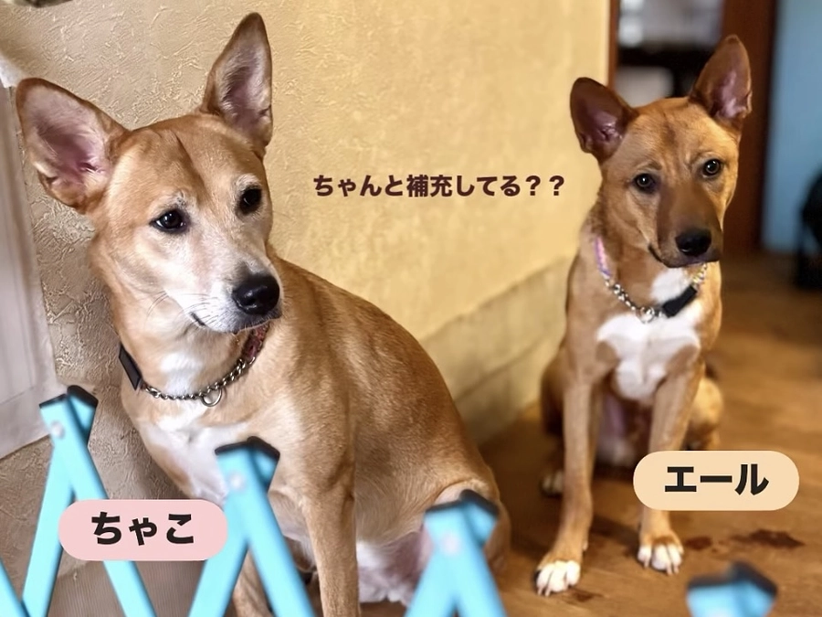 ボランティアの胸のうち　通う距離がダントツ長いSさん