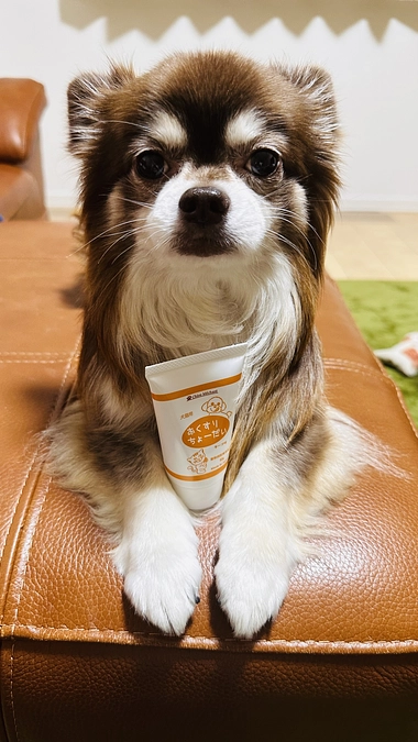 お薬ちょーだい！！