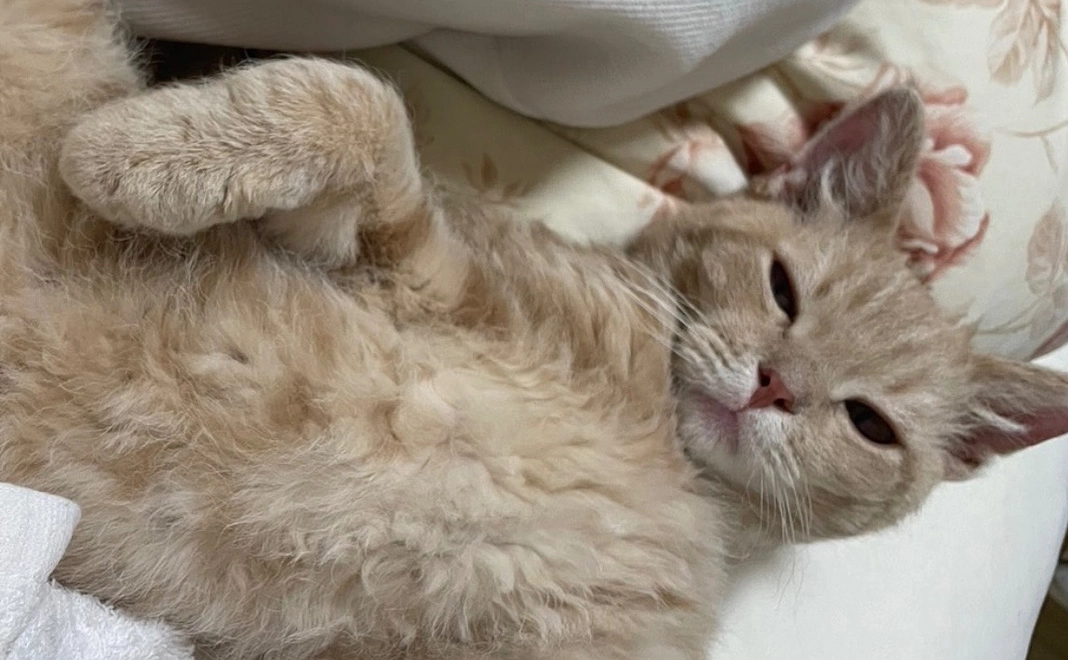 感謝のメール【13】