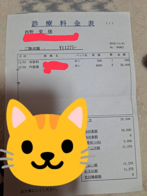 1１月1日　受信日でした☘️