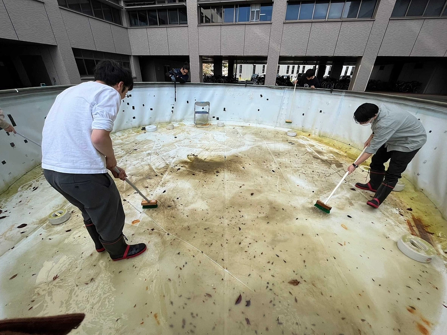 プールの清掃を行いました！