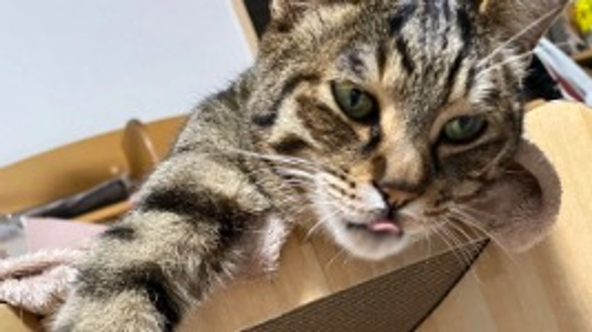 【今日のなっちゃん】6月9日