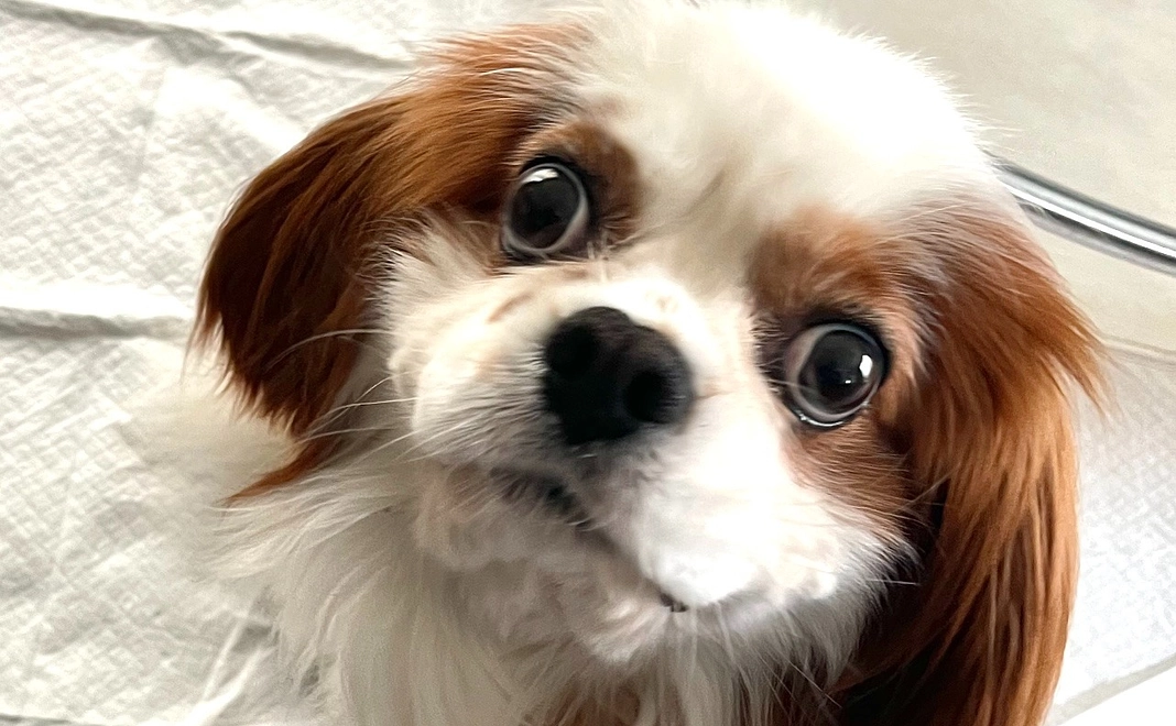 感謝のご連絡１