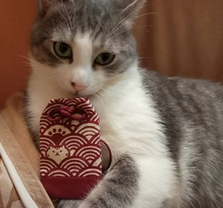 ボランティア リレー⑪