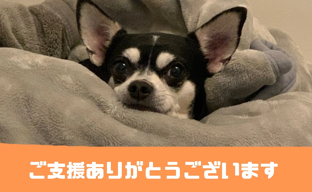 ジェノを助けてください2