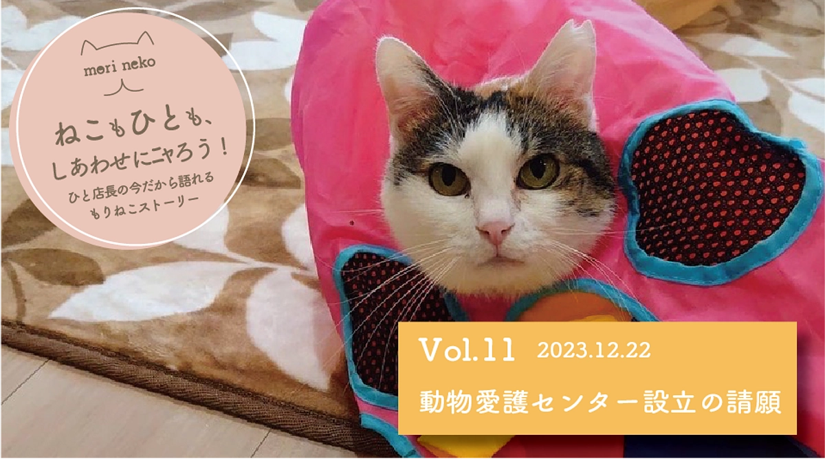ねこもひとも、しあわせにニャろう! vol.11