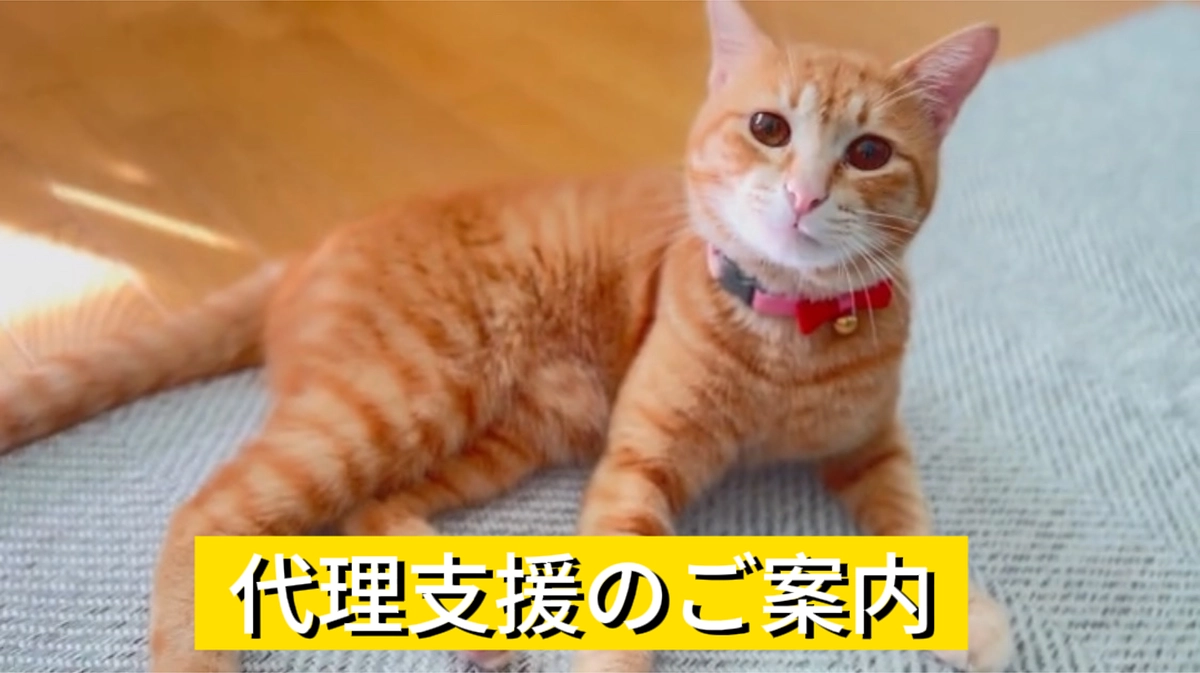 〜代理支援のご案内〜