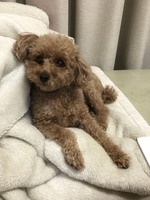 達成いたしました🥹🙇‍♀️✨