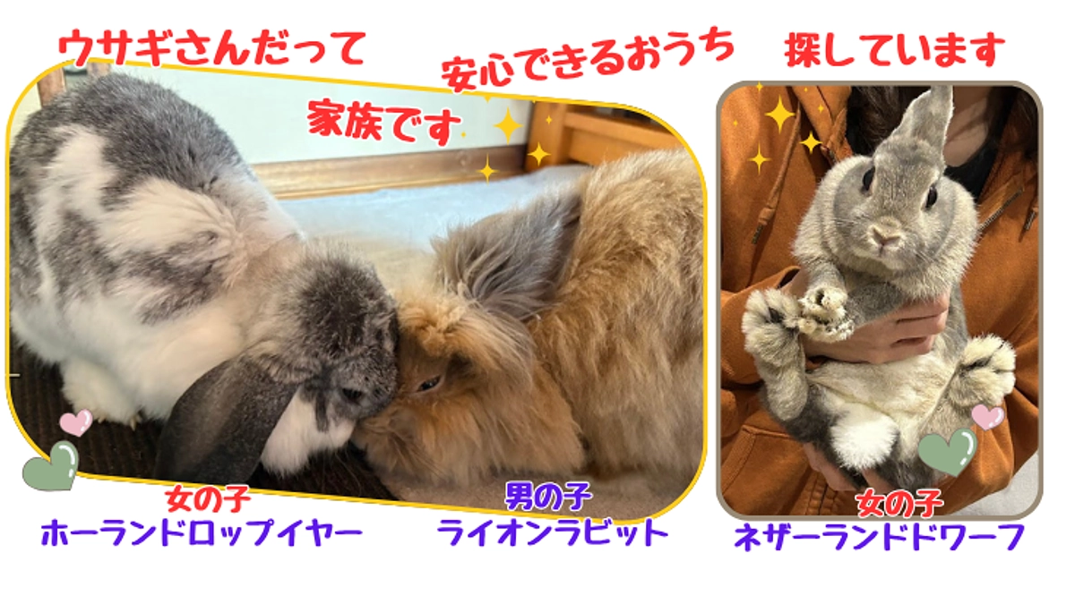 さすがはイベントの秋！