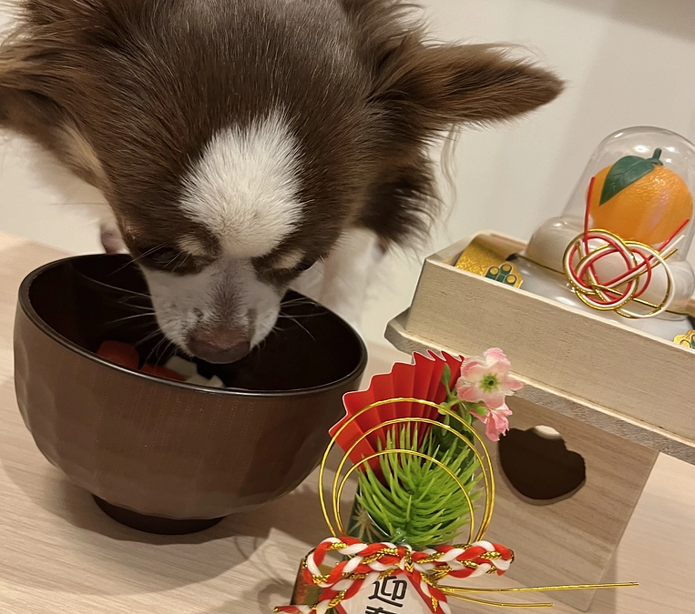 2024.01.01 明けましておめでとうございます🎍