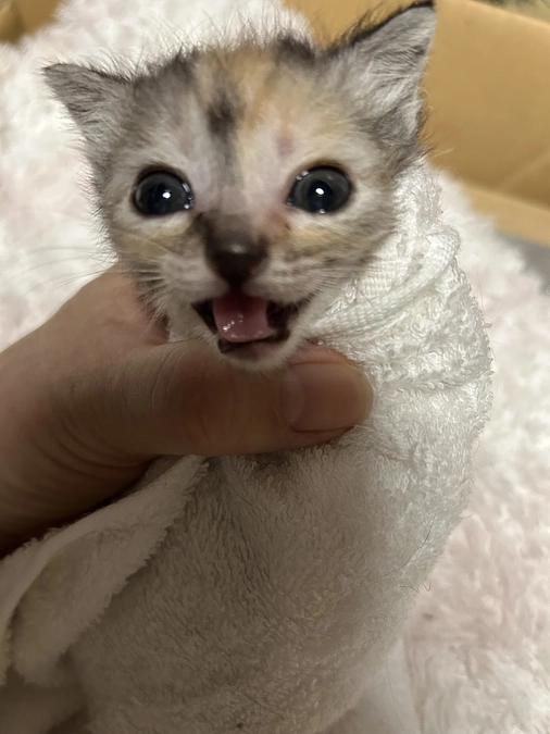 継続ご支援者さまへお詫びm(_ _)m