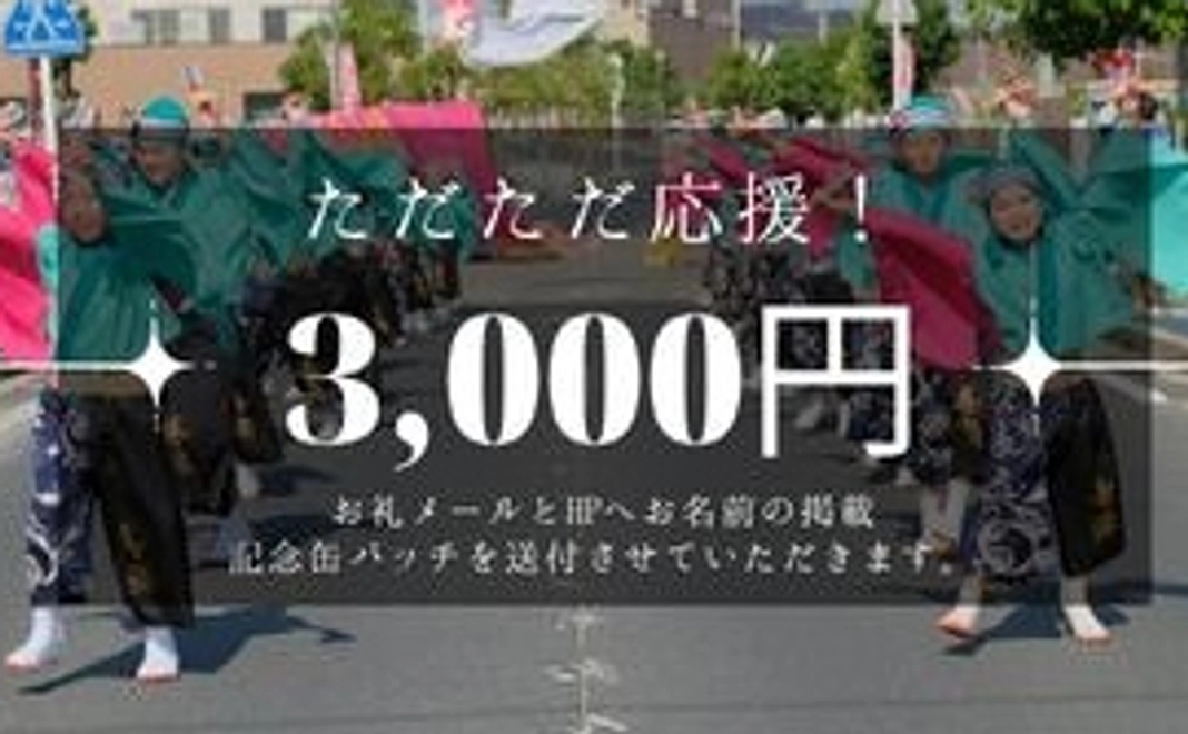 ただただ応援！3000