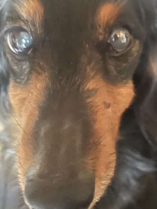 4月13日　今日のクゥ