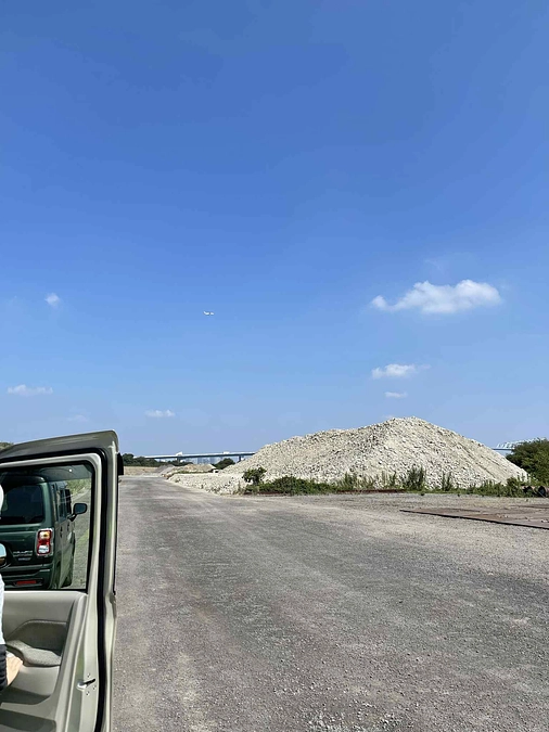 口の中に小枝が深く刺さっていた猫ー飢餓のため木についた虫を食べようとしたのか・・