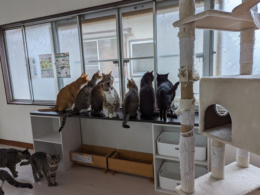 少しでも外の様子を。