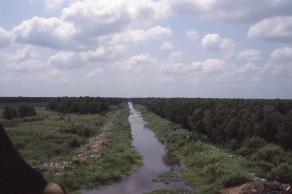 日本アジアカワウソ保全協会の設立前　～ベトナムでの調査と普及啓発活動～