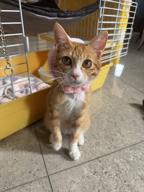 残り1週間！最後の一押しにご協力下さい