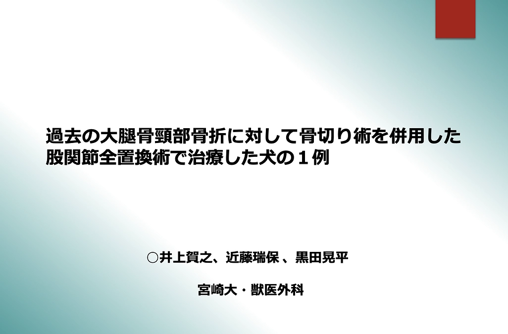 あと１０日になりました！