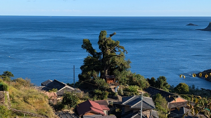 熊野市波田須町「徐福の宮」再建プロジェクト