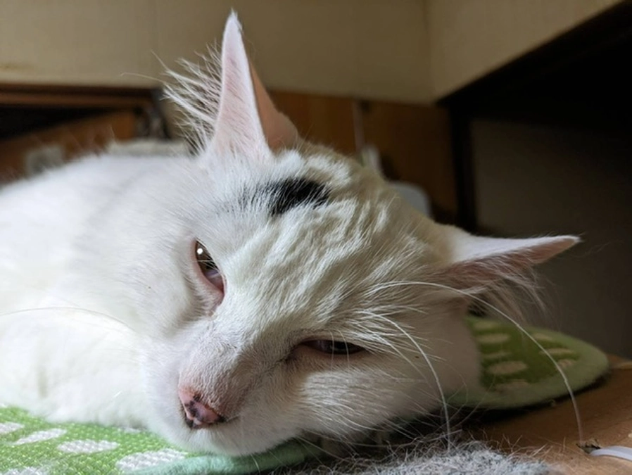 経過観察２２日目