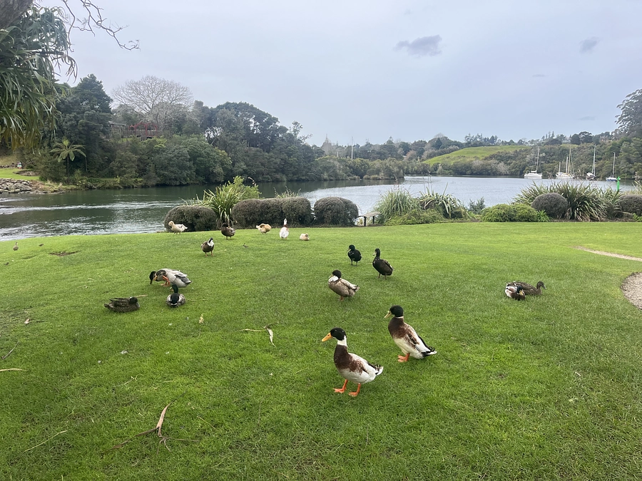 NZ5日目です！ DAY5 in NZ