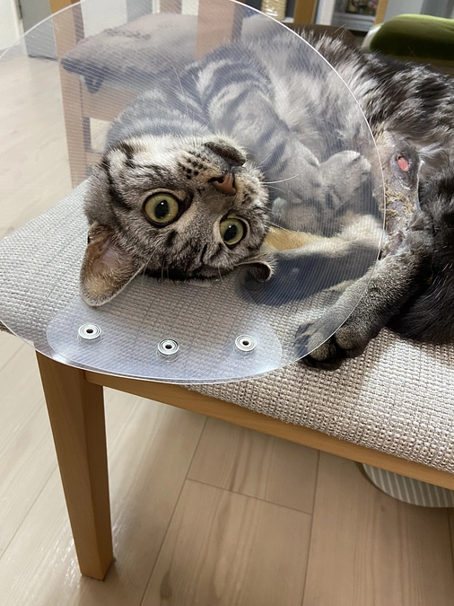 2023.6.16🔥 #闘病生活 59日目🔥