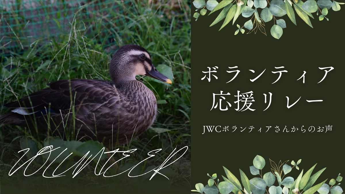 ボランティア応援リレーVol2「美朱さん」