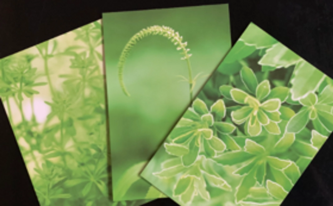 10月の休日に都内で開催する「玉置妙憂のお話会」にご参加いただけます