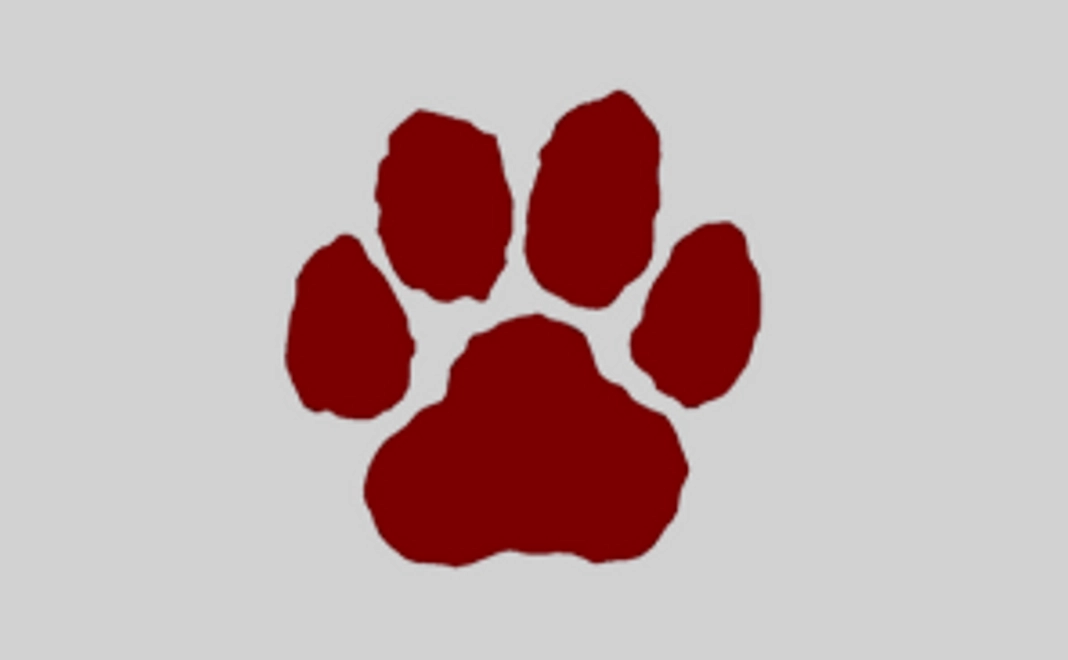 応援【3,000円】