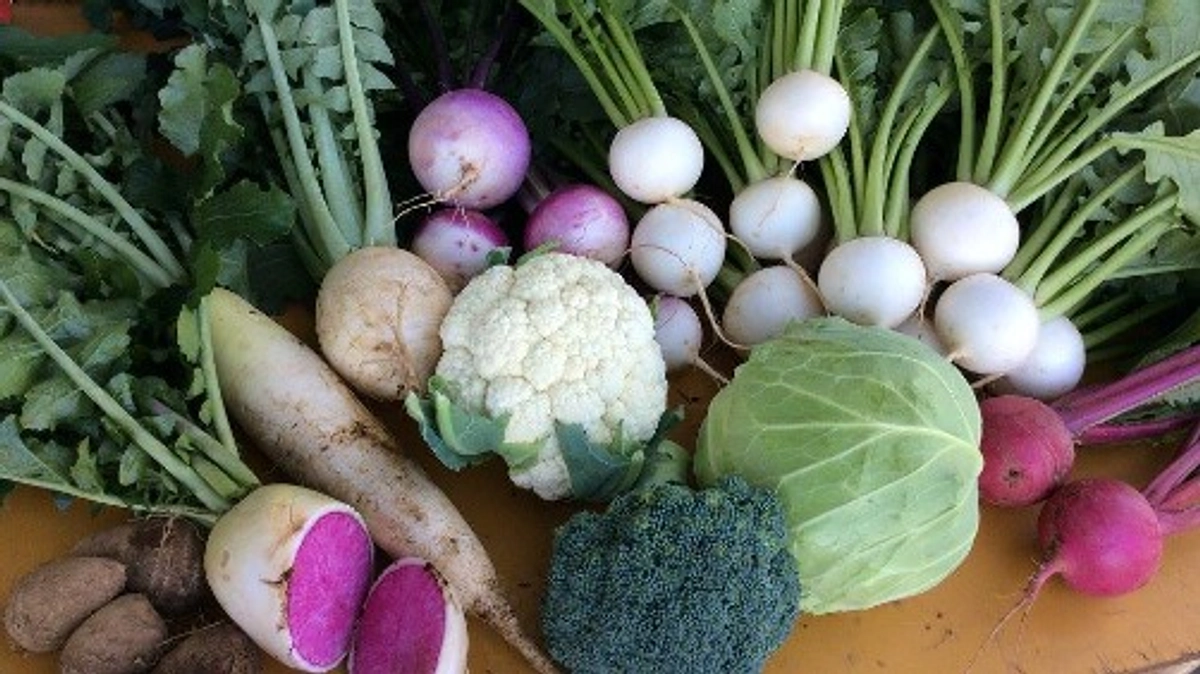 リターン①　季節の野菜セットお届けコース