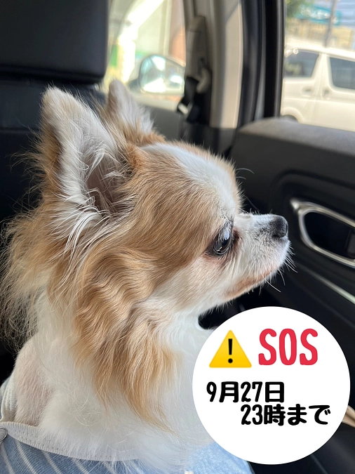 9月12日  現状報告