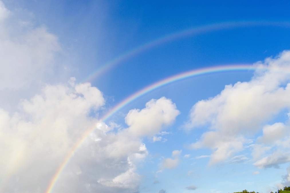 YouTubeで対談の様子を公開しました！