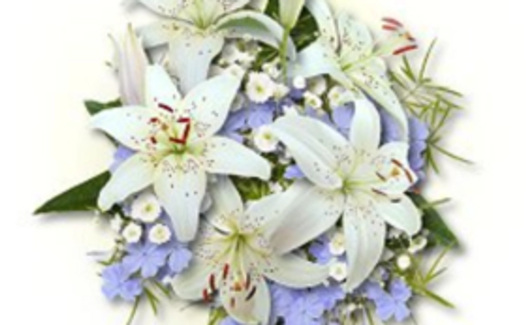 心理カウンセリング料金・各種講座、Workshop参加費として使用できるチケット5,000円分謹呈