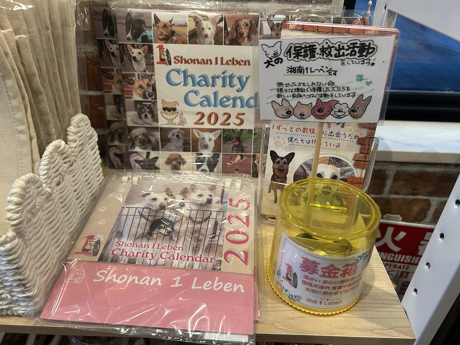 その子らしい過ごし方で