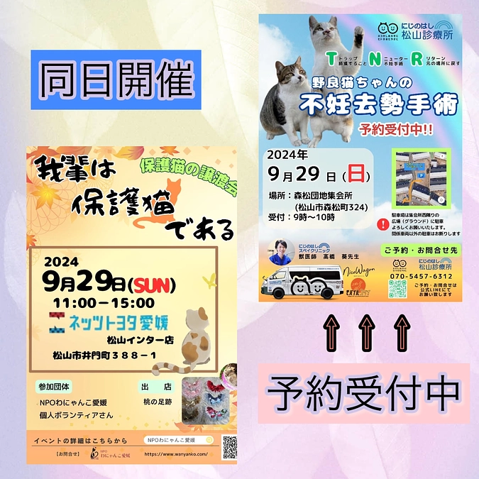 譲渡会とにじのはしSC松山診療所、同日開催‼️