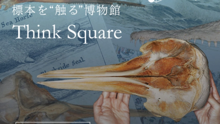 ”触る”博物館Think Square テストオープン!