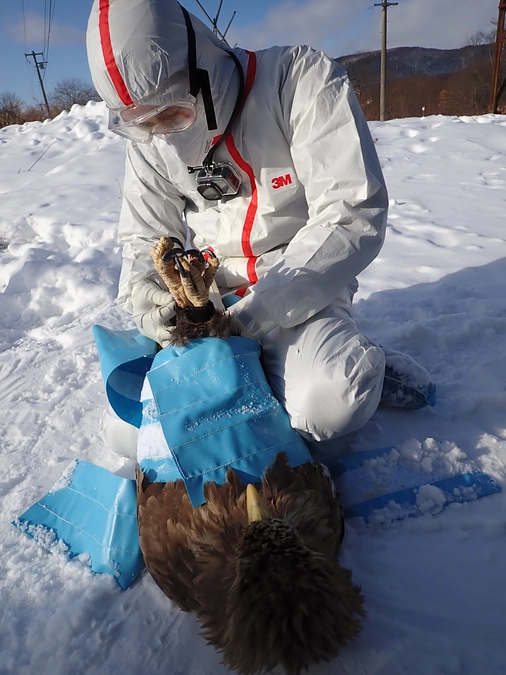 すっかり慣れた衣装ですが