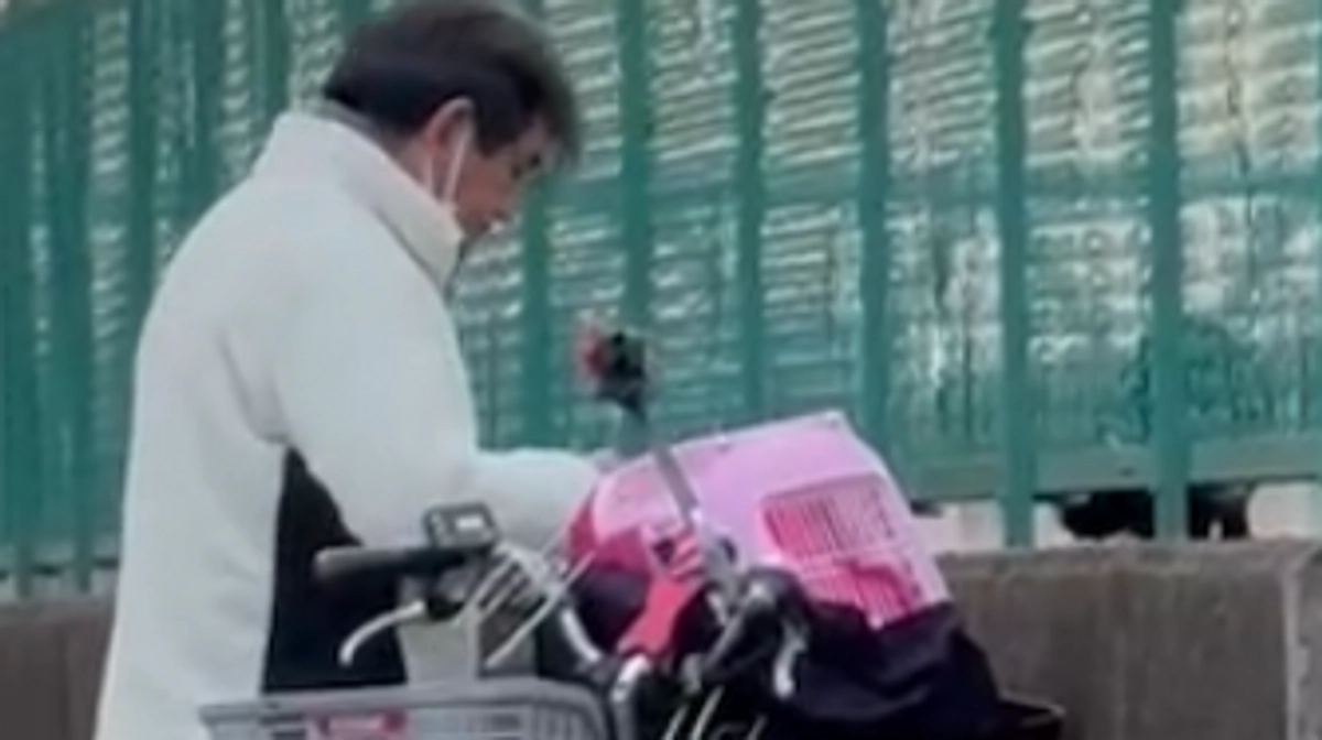 捕獲失敗しました…