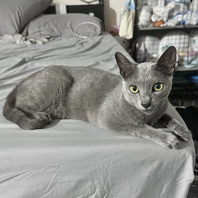 【残り6️⃣日💦】投薬76日目