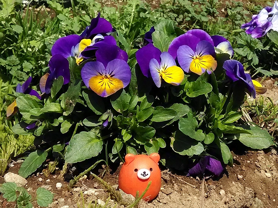 【お知らせ】松井家文書プロジェクト終了報告をアップしました！