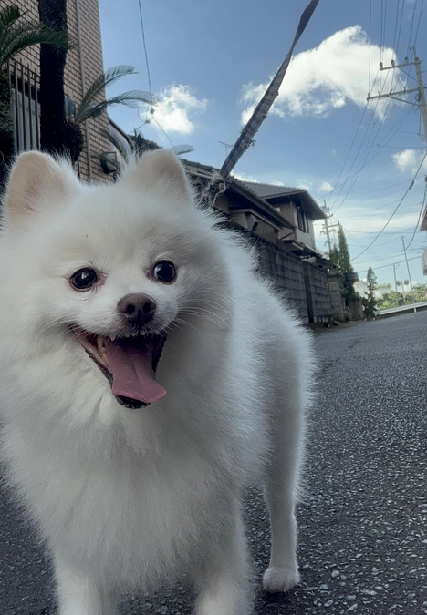 🌟素敵な出会いに感謝🌟