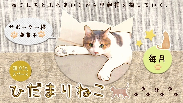 ひだまりサポーター募集中〜ふれあい拠点・里親探しのために〜