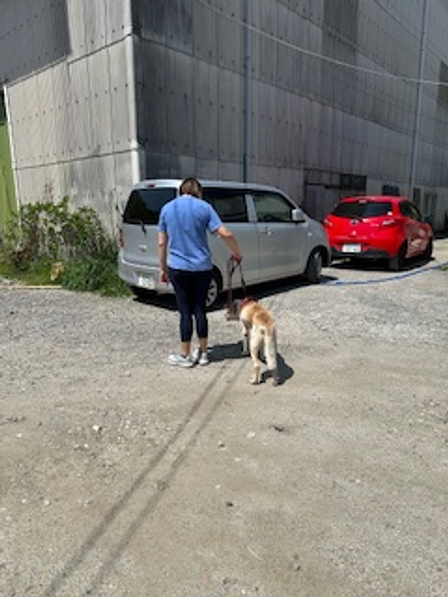 お天気最高！お散歩日和🐾